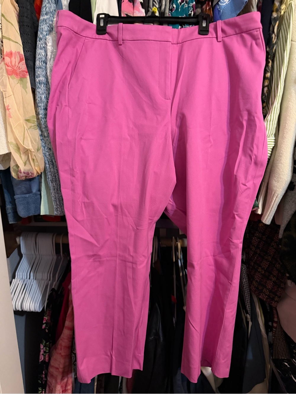 J. Crew ankle pants NWT 22